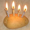 i4.photobucket.com_albums_y107_cheerbabe61384_potato_1