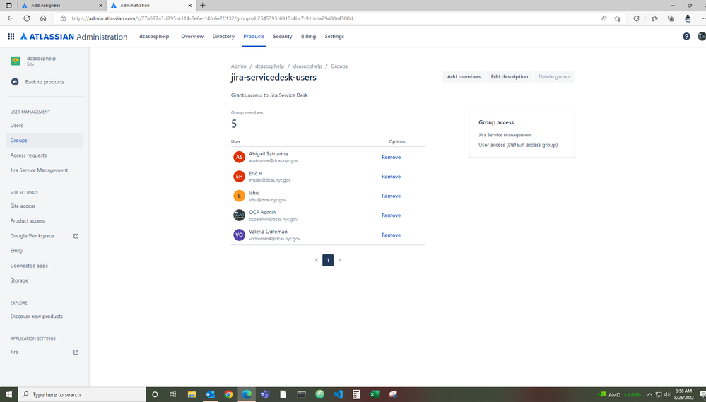 Jira OCP Global Permission Groups jira-servicedesk-users 3.PNG