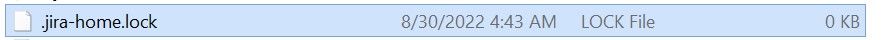 Lockfile.jpg