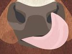 cowtongue.jpg