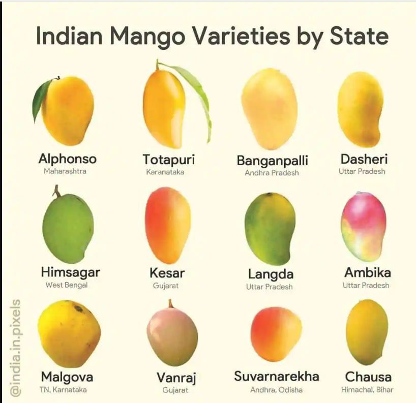 Mangos.JPG