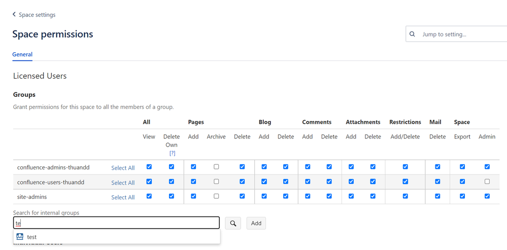 Search group in space permission.png