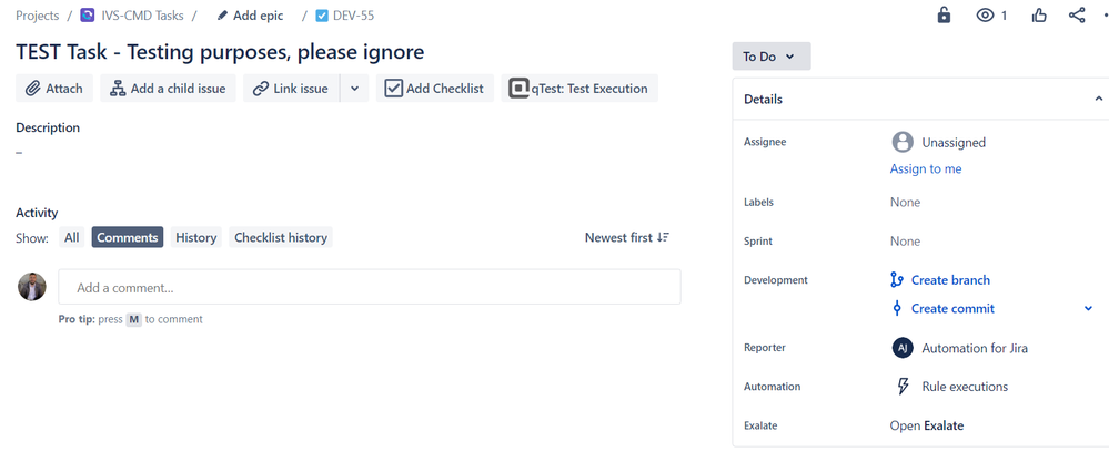 Issue access - Project.png