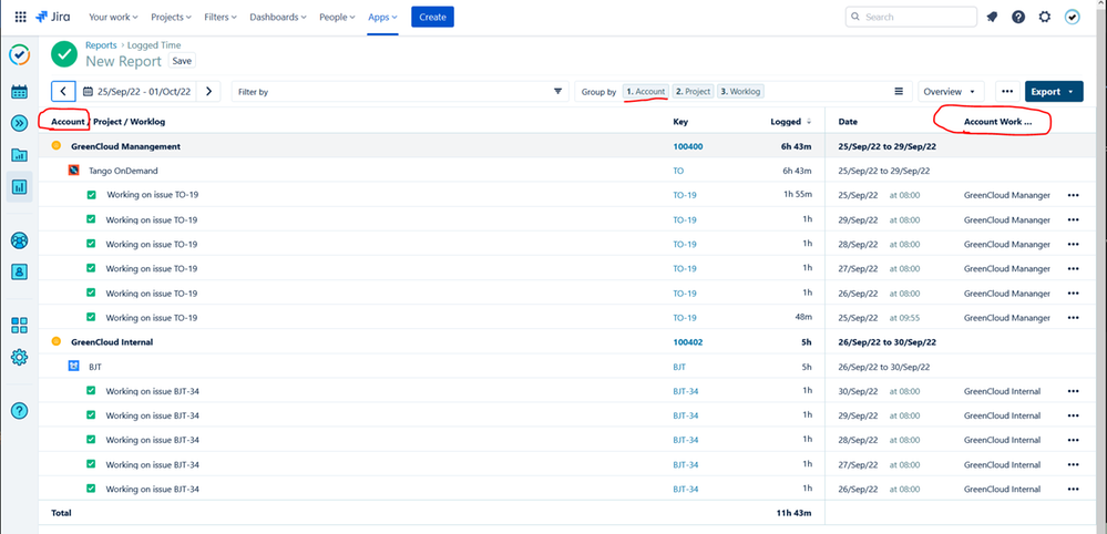 Tempo Account report.PNG