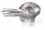 magical_optical_illusions_07.jpg