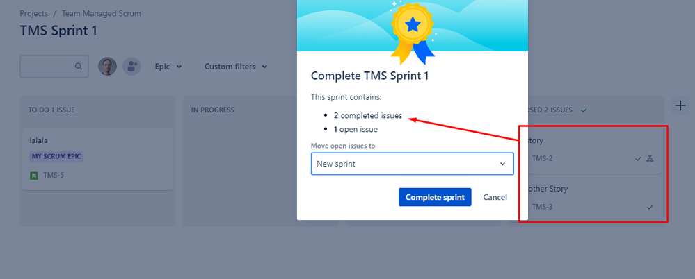 tmp completed issues.png
