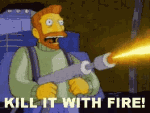 funny-kill-it-with-fire.gif