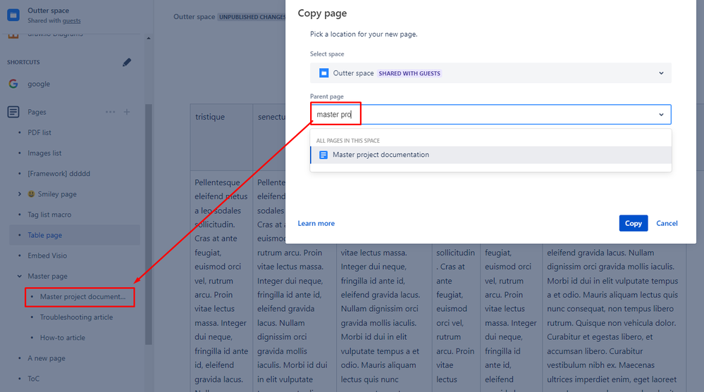 copy to child page.png