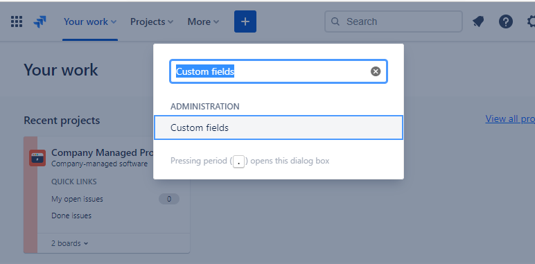 special-admin-menu-custom-fields.png
