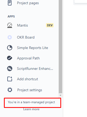 team managed project.png