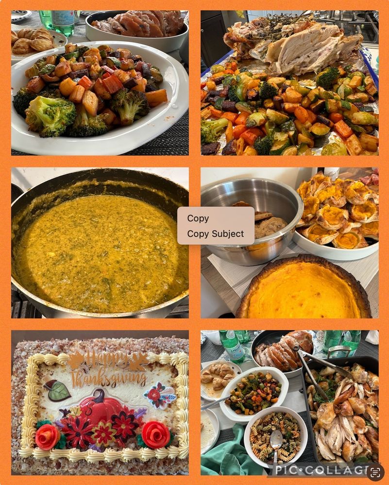 Screenshot 2022-11-28 at 9.58.55 PM.jpg