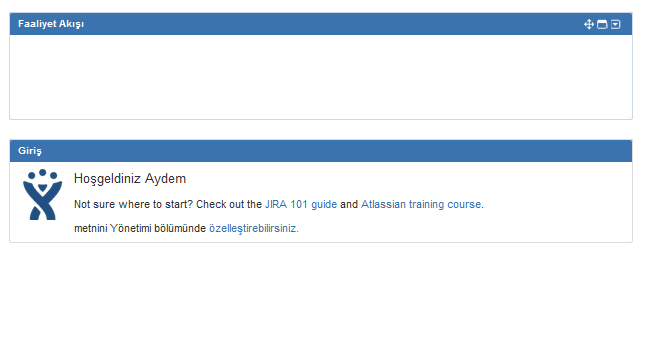 faaliyet akisi.PNG