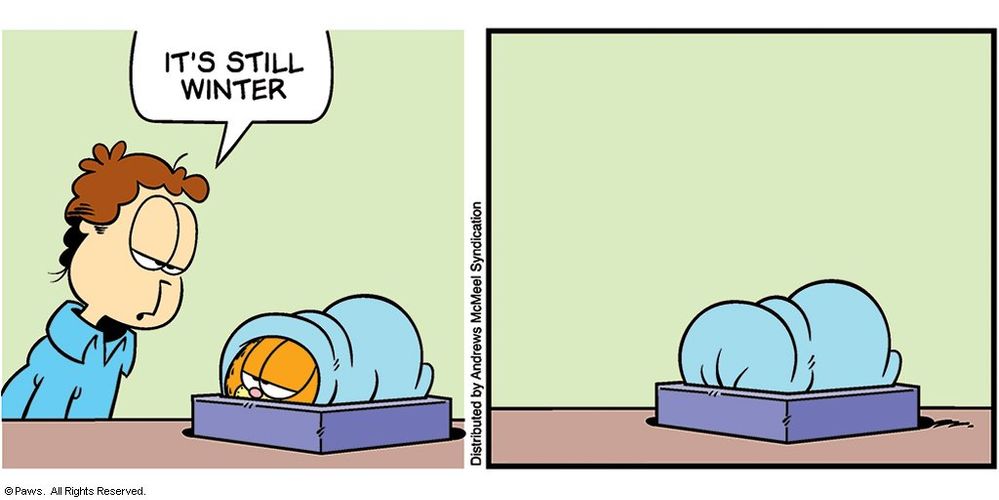 Garfield Winter.jpeg