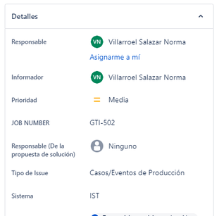detalle problema.PNG