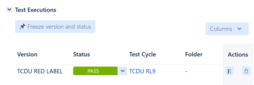 ExampleIssue1TestExecutions.png