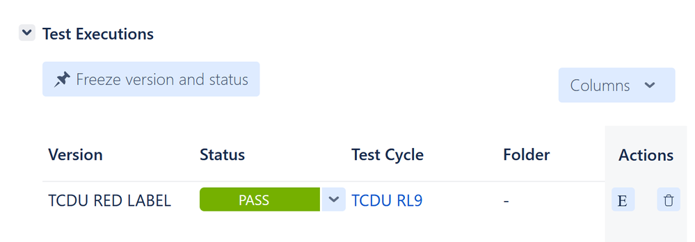 ExampleIssueShowing1TestExecutions.png