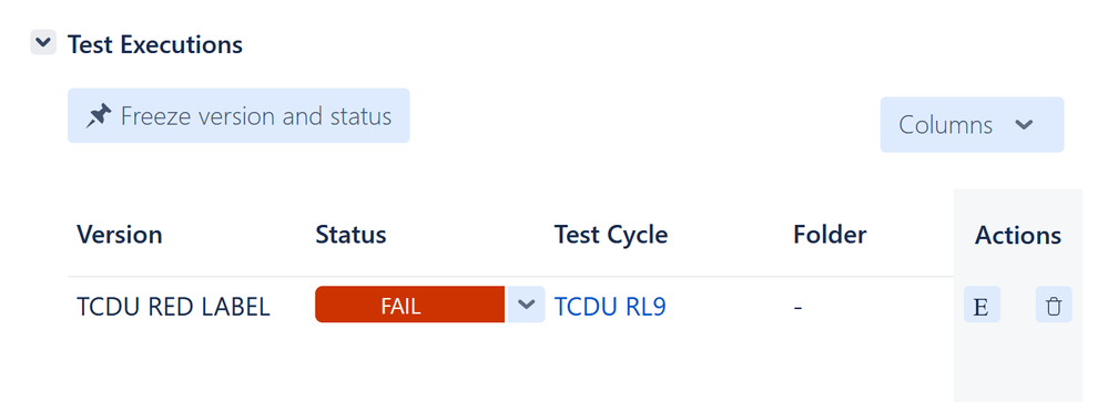 ExampleIssueShowing2TestExecutions.png