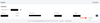 Screen Shot 2023-01-19 at 11.20.52 AM.png