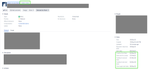 issueDetails.png