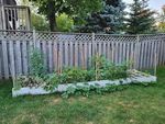 20220816_064814.jpg