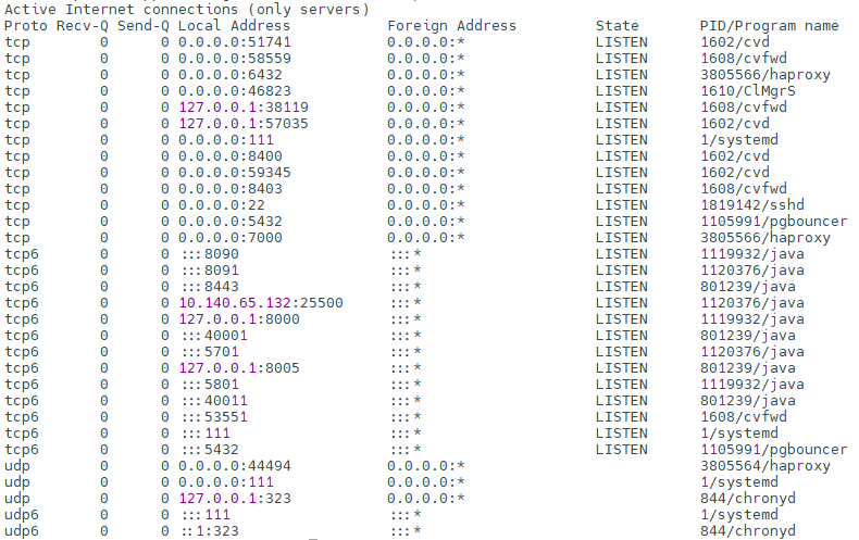 netstat.png