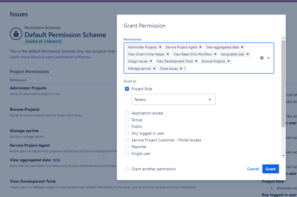 grant permissions.png