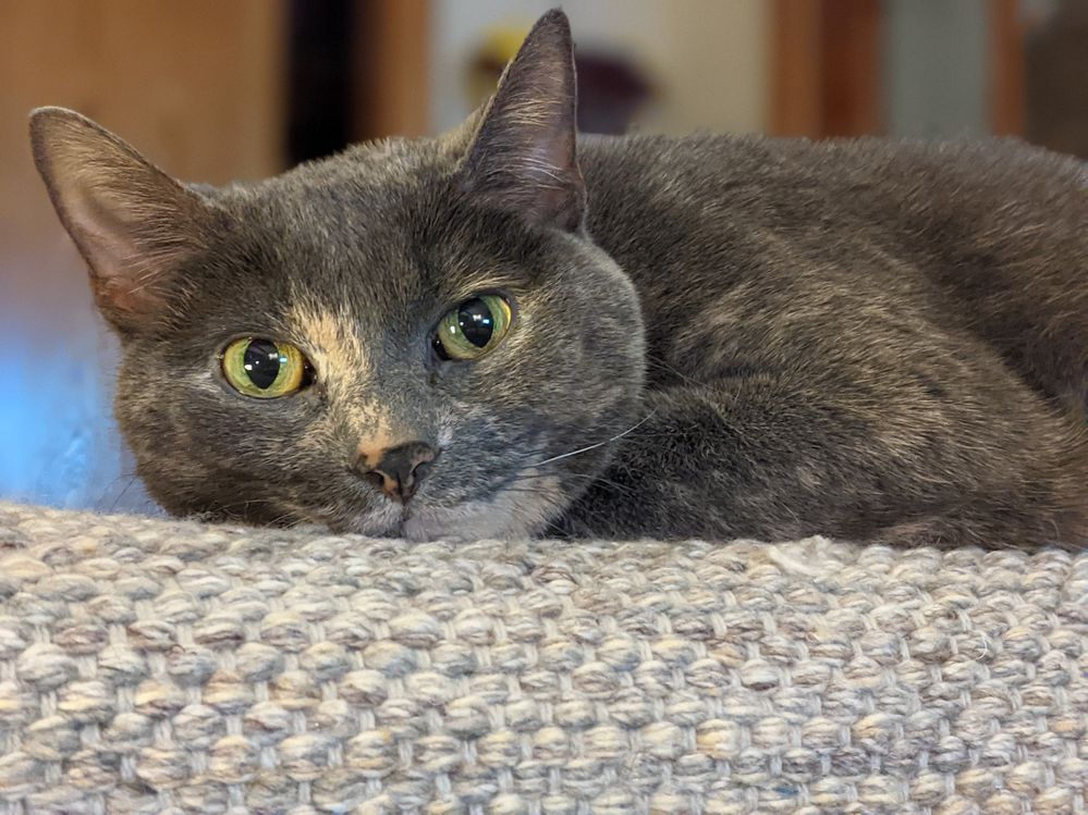 PXL_20210104_022418126.PORTRAIT (1).jpg