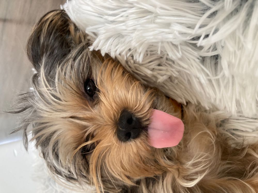 Bruno 6 sept 2021d.jpg