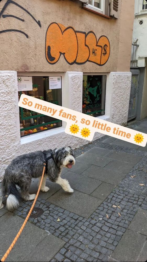 WhatsApp Image 2023-03-03 at 09.23.41.jpeg