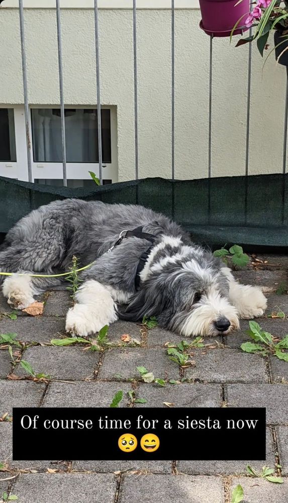 WhatsApp Image 2023-03-03 at 09.23.38.jpeg