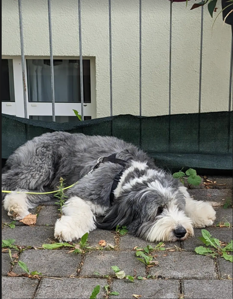 Screenshot 2023-03-03 at 09.56.33.png