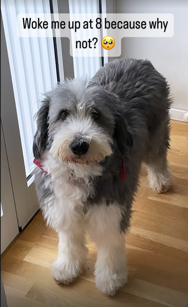 Screenshot 2023-03-03 at 10.02.00.png