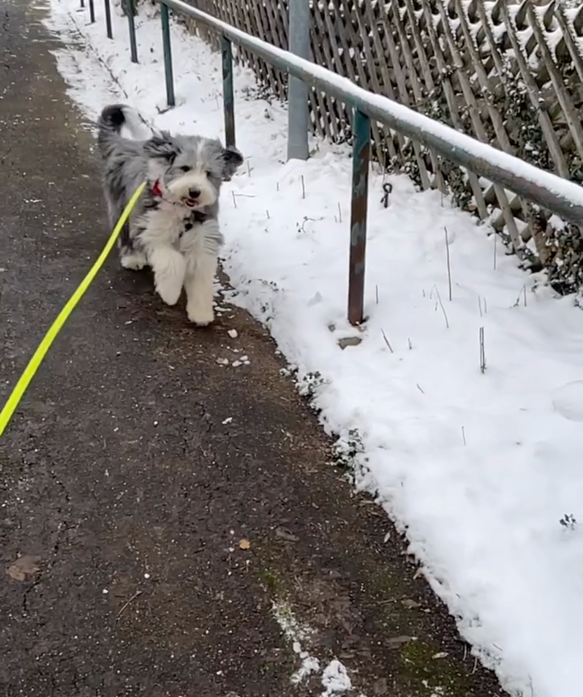 Screenshot 2023-03-03 at 10.03.45.png