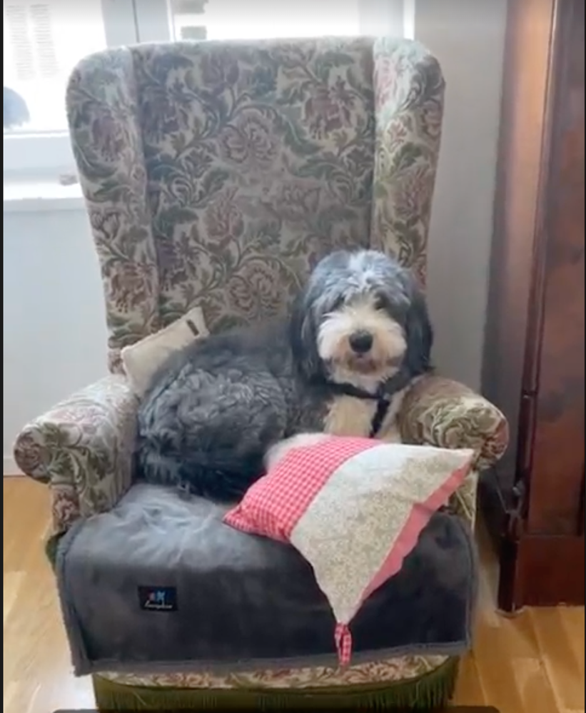 Screenshot 2023-03-03 at 10.13.54.png