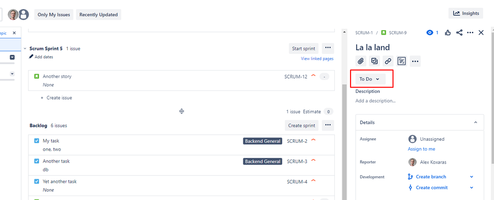 detail issue view.png