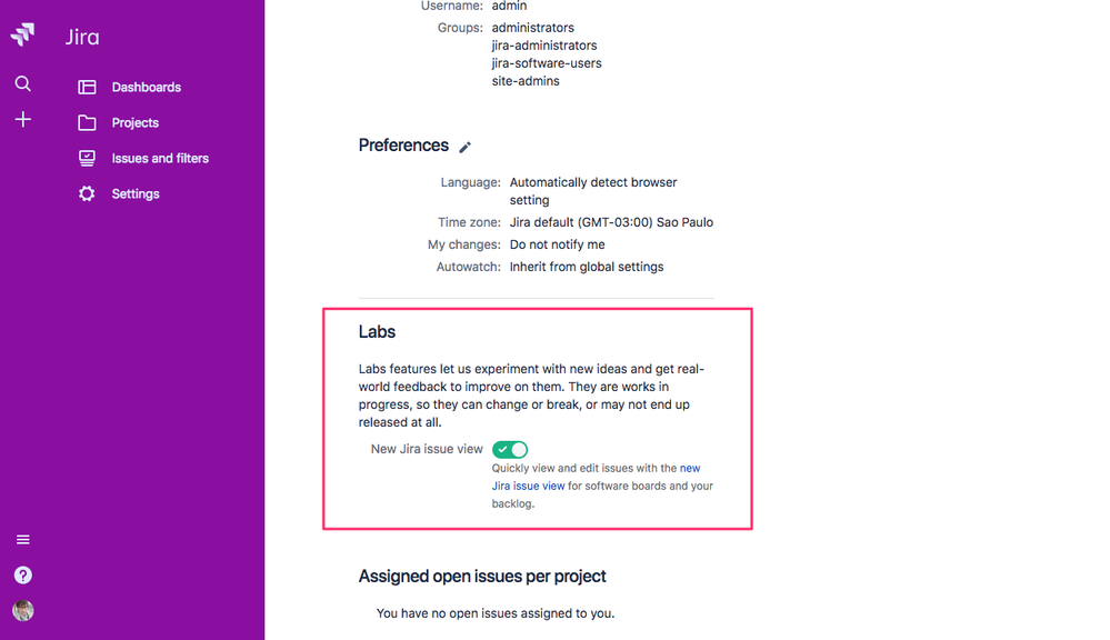 User_Profile__Matheus_Fulginiti_Schonarth_-_Jira.png
