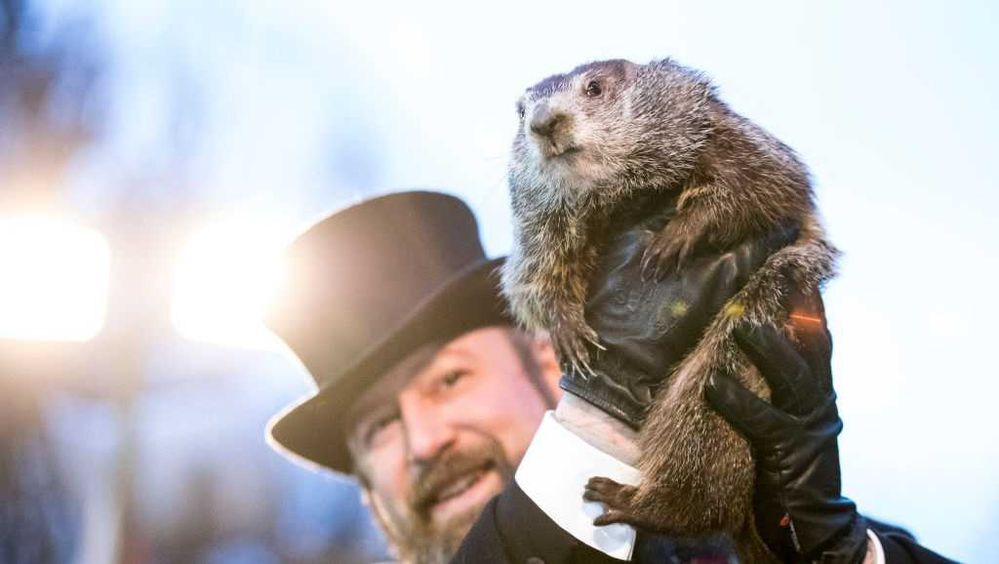 punxsutawney-phil-1549107533.jpg