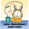 Garfield Coffee Jumper Cables.jpeg