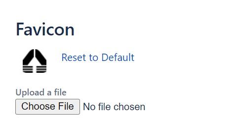 favicon-issue-1.jpg