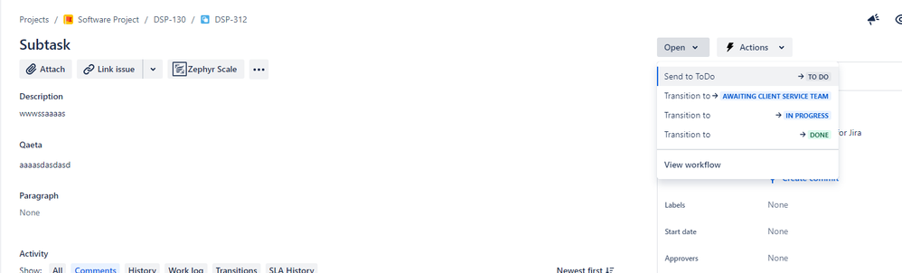 software project.png