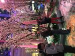 26C24035-3AEB-49CB-9B4D-29B8ECB6CDB8.jpeg
