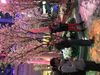 26C24035-3AEB-49CB-9B4D-29B8ECB6CDB8.jpeg