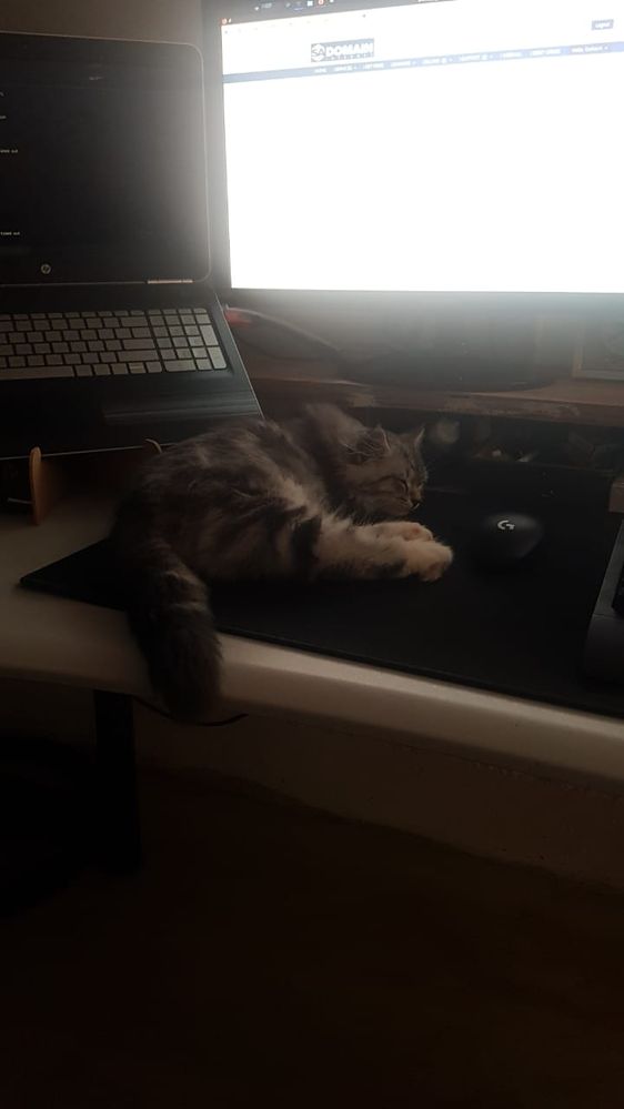 WhatsApp Image 2023-03-15 at 09.24.57.jpeg