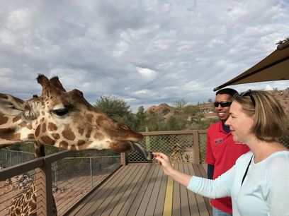 giraffe.jpg