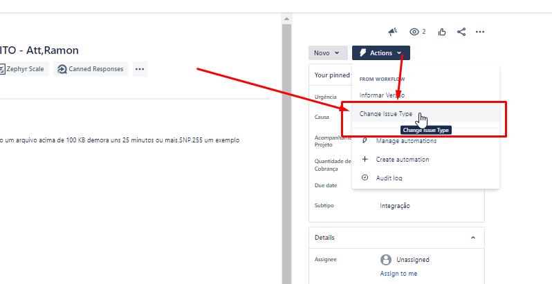 Change Issue Type II.png