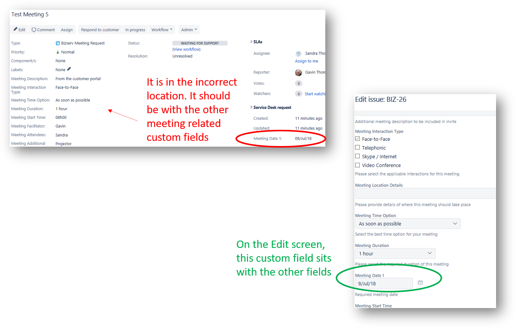 Date Picker Custom Field appears under Service Des...