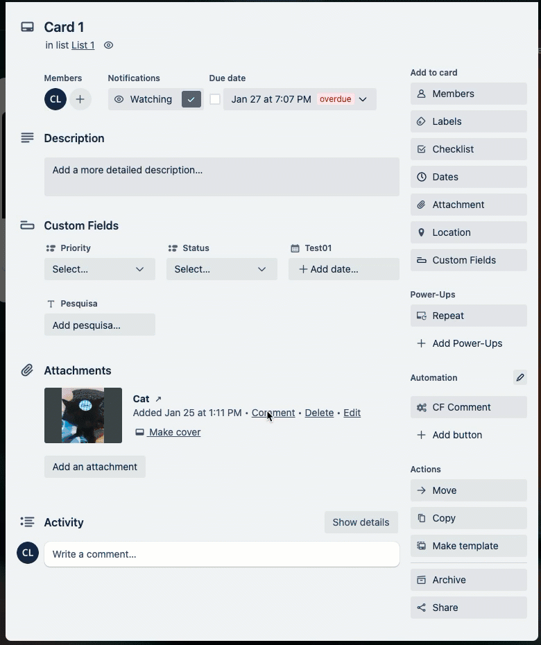 Atachment as comment.gif