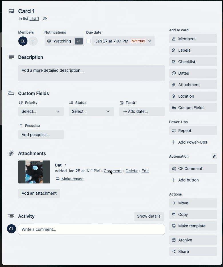 Attachment as a comment.gif