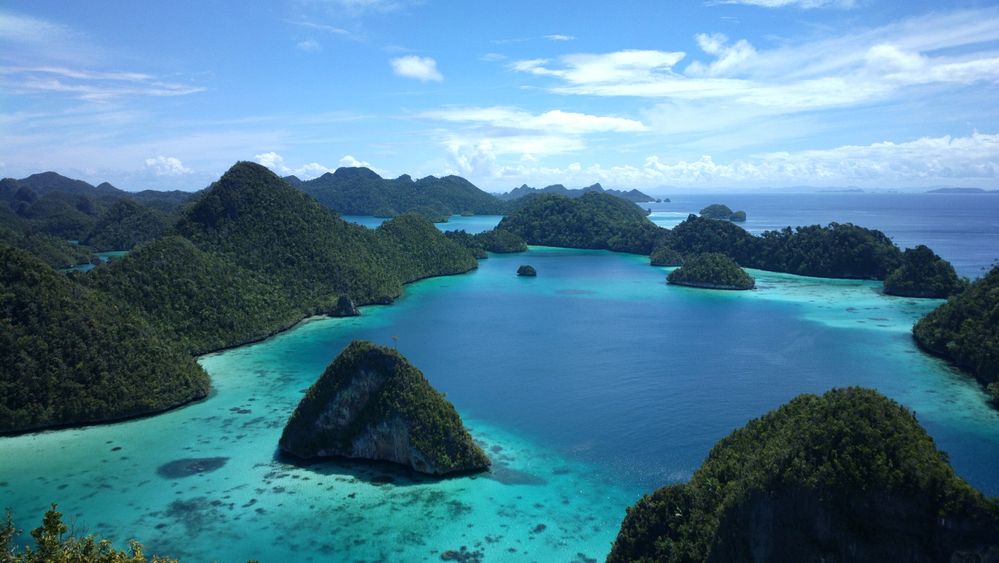 WhatsApp Image 2023-06-05 at 13.49.044.jpg