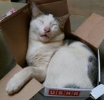 IMG-abbdcbd62167af2e4db5afe2eb08d12b-V.jpg